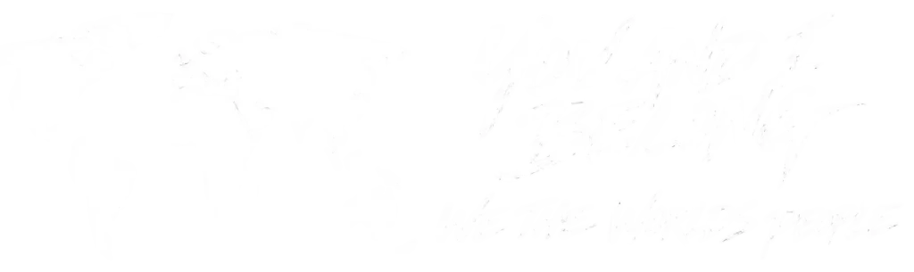 You and I Belong